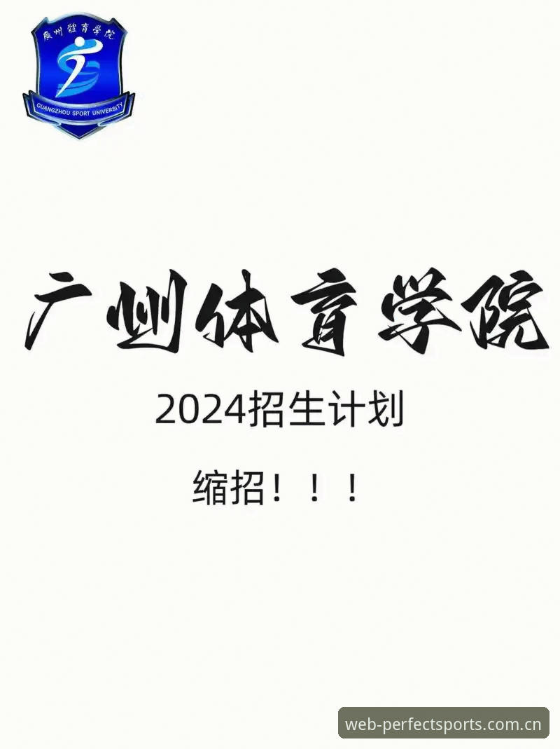 完美体育怎么下载哪个好？2024年多版本横向深度评测与方案对比