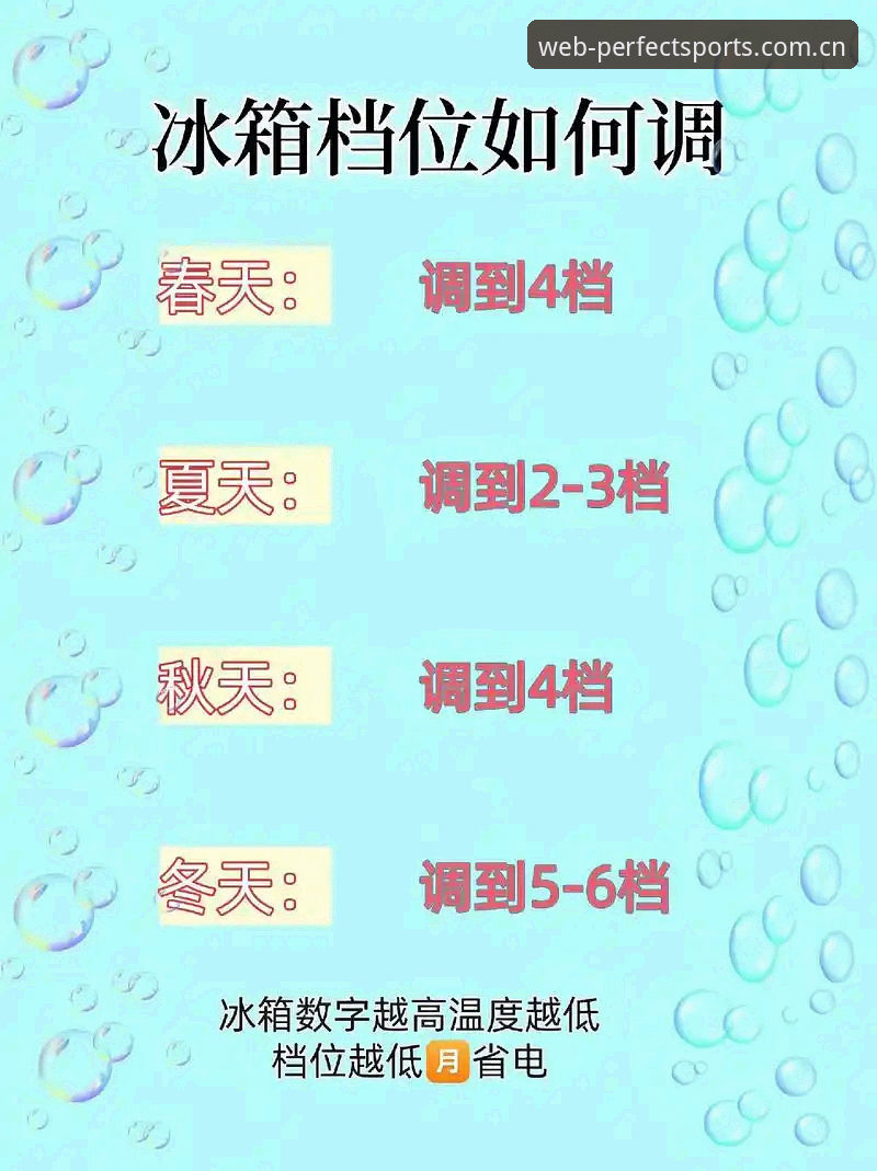 完美体育最新版本：全方位体验升级与实用技巧解析